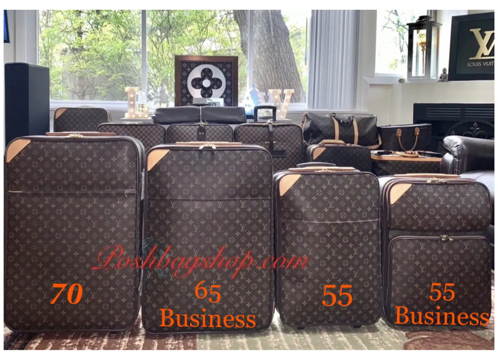 Louis Vuitton Pegase 70 Suitcase Wheels Bag w/ Garment Bag Dustbag 🇫🇷