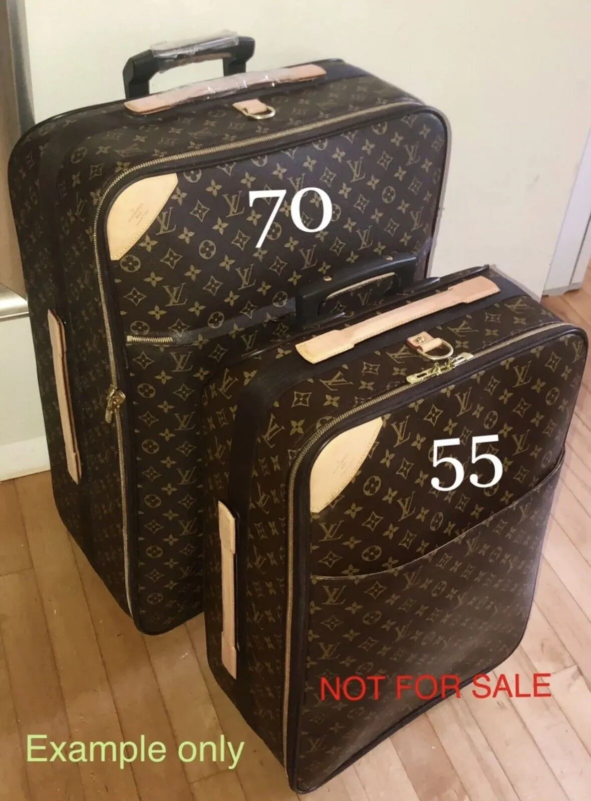 Louis Vuitton Pegase 70 Suitcase Wheels Bag w/ Garment Bag Dustbag 🇫🇷