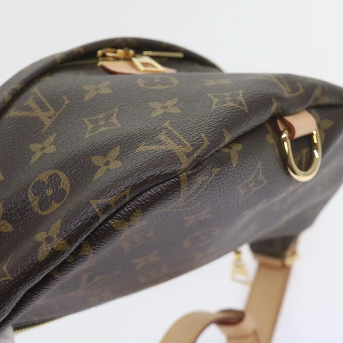 Trendy Inspired Louis Vuitton Monogram Bum Bag Shoulder Bag M43644 Lv Auth 59863s