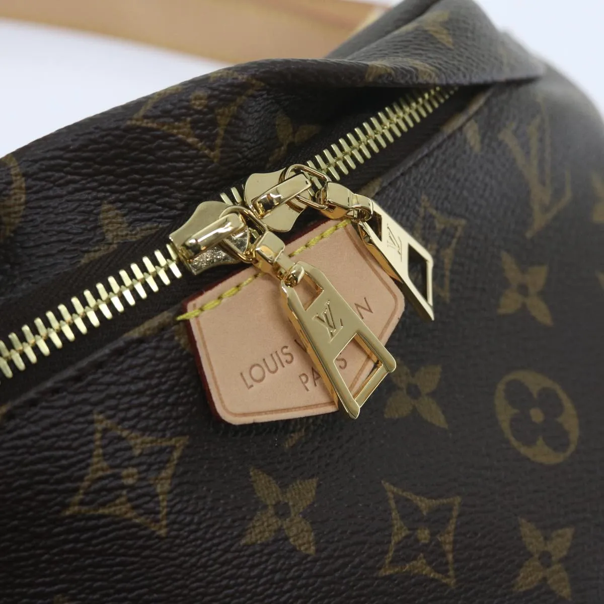 Trendy Inspired Louis Vuitton Monogram Bum Bag Shoulder Bag M43644 Lv Auth 59863s
